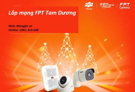 Lắp mạng FPT tại Huyện Tam Dương